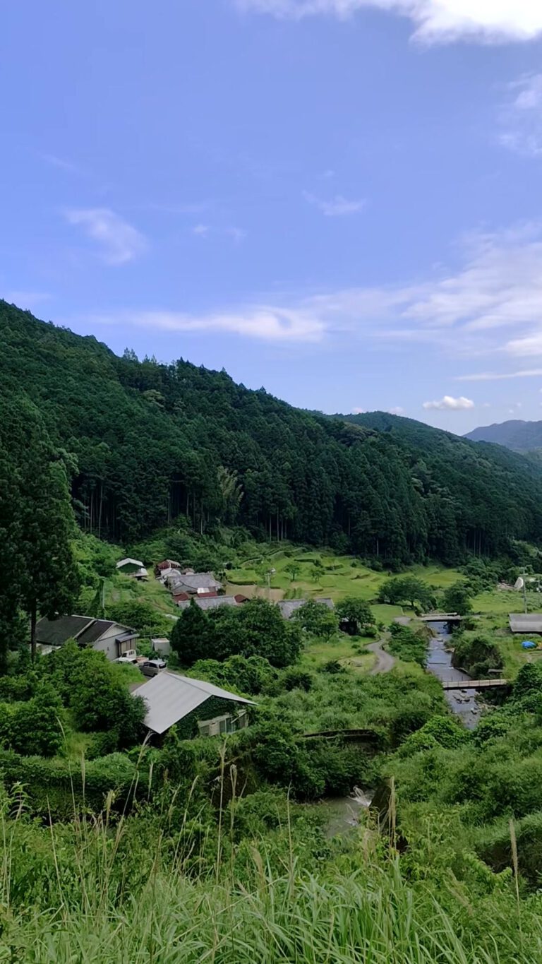 観光地だけじゃない！那智勝浦町で過ごす何気ない日常のひとコマ紹介